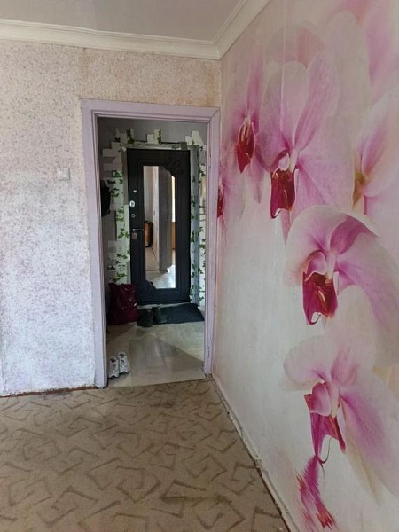 1-к квартира, 31 кв.м.